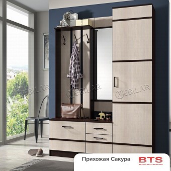 Прихожая модульная Сакура эконом 01